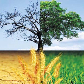 WORLD DAY TO COMBAT DESERTIFICATION - DROUGHT