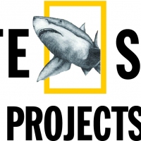 WHITE SHARK PROJECTS